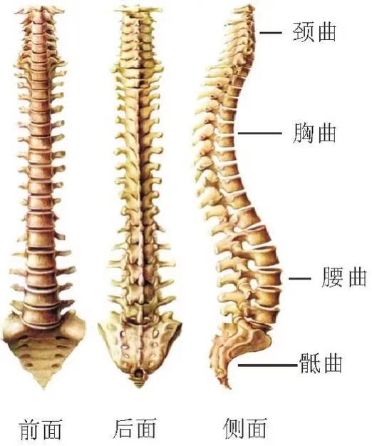 微信图片_20241007163437